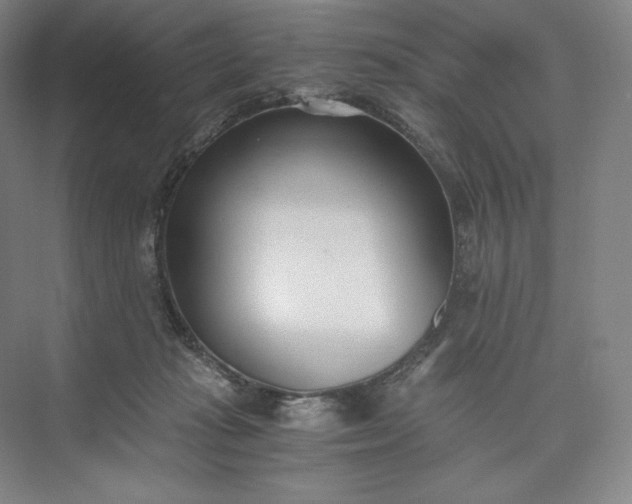 X0000073470269200608111544