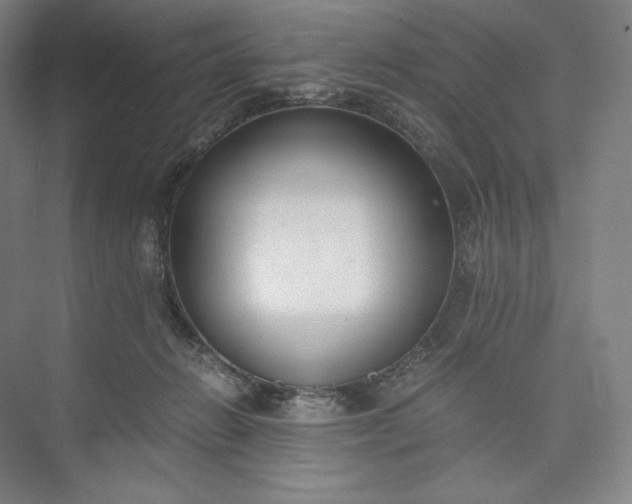 X0000073470270200608111544