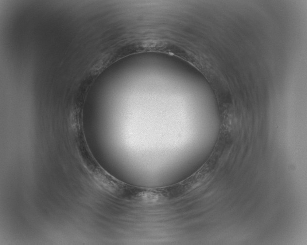 X0000073470272200608111544