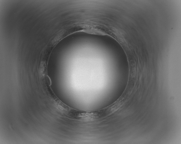 X0000073470273200608111544