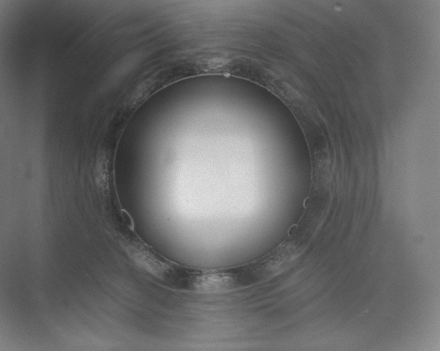 X0000073470274200608111544