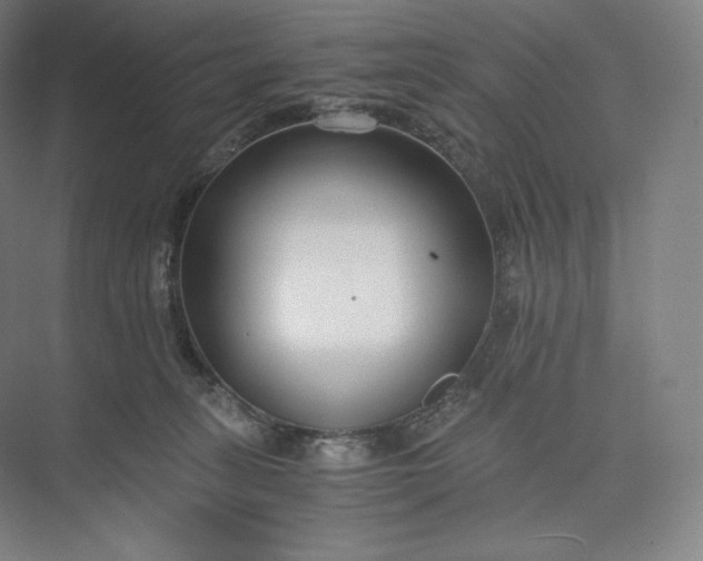 X0000073470275200608111544