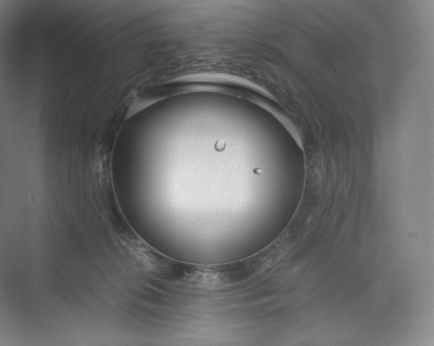 X0000073470276200608111544