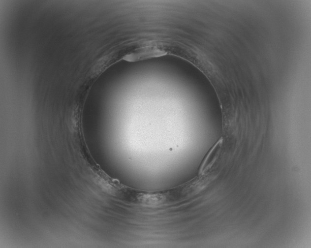 X0000073470277200608111544