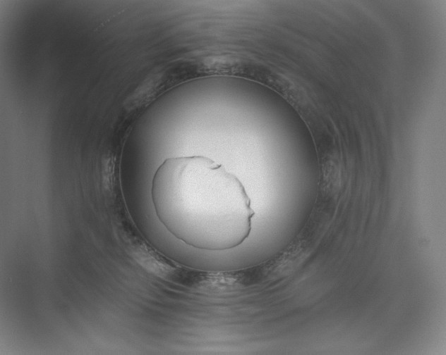 X0000073470278200608111544