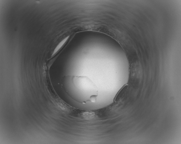 X0000073470279200608111544