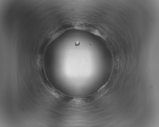 X0000073470280200608111544