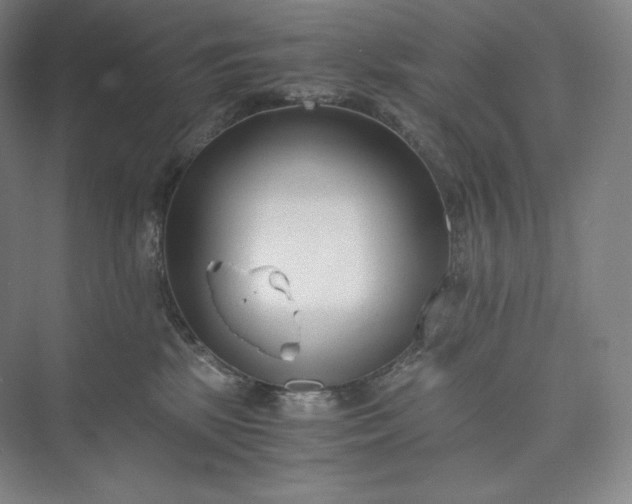 X0000073470281200608111544