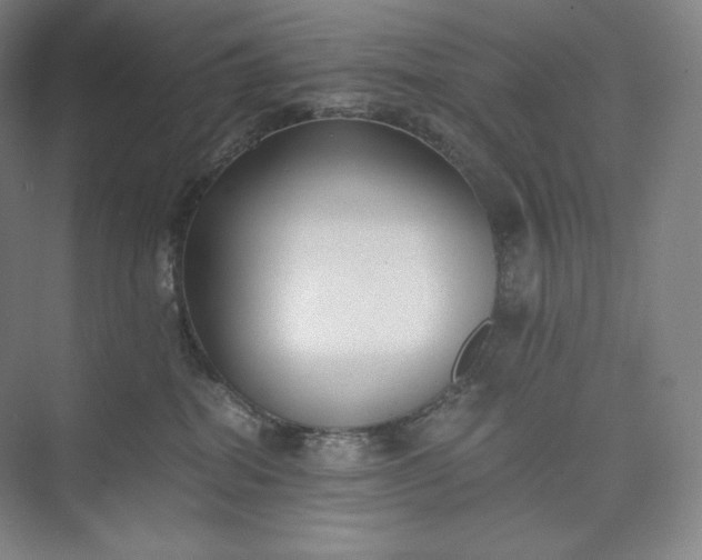 X0000073470282200608111544