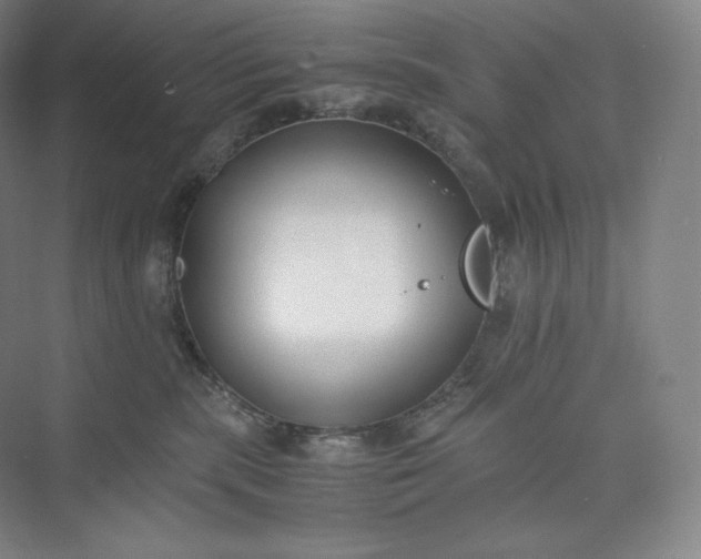 X0000073470283200608111544