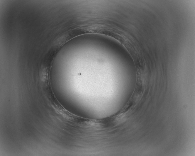 X0000073470284200608111544