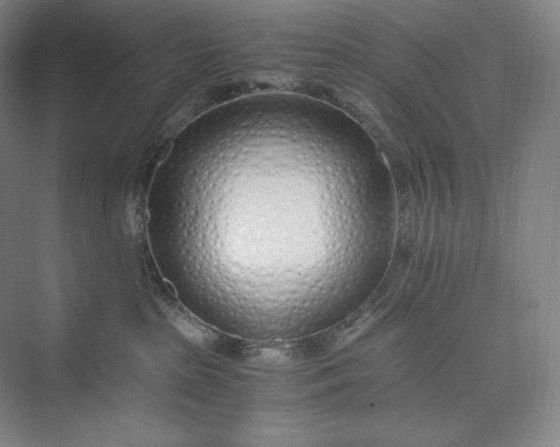 X0000073470285200608111544