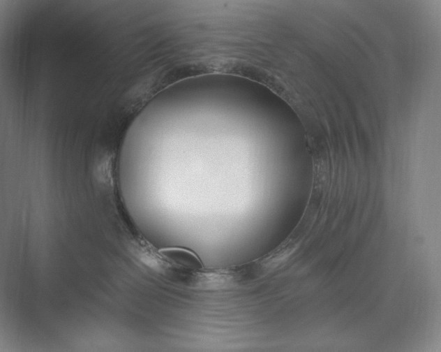 X0000073470286200608111544