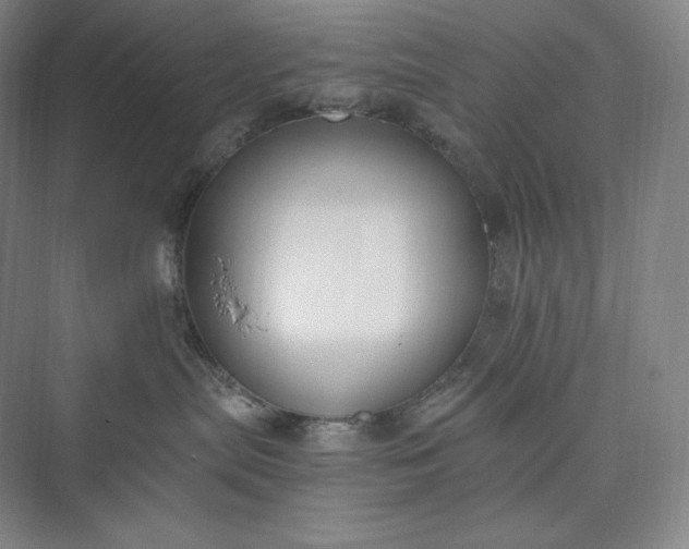 X0000073470287200608111544