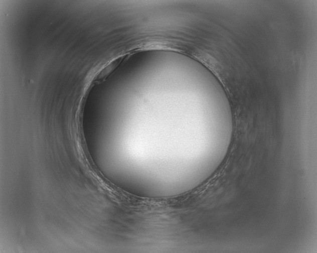 X0000073470289200608111543