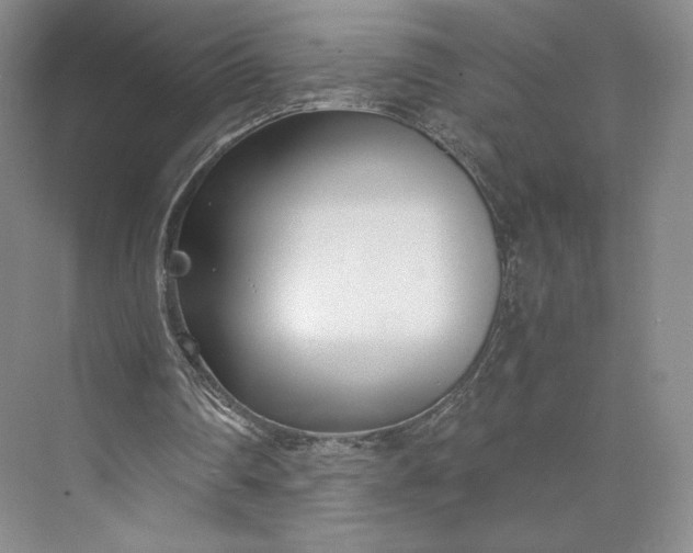 X0000073470290200608111543