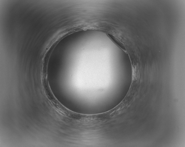 X0000073470291200608111543