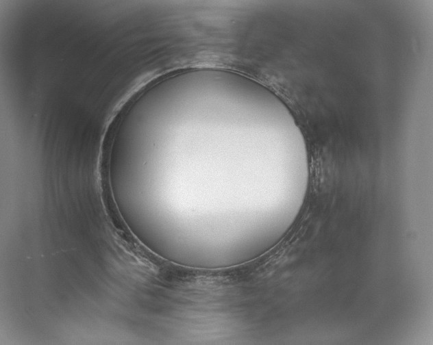 X0000073470292200608111543