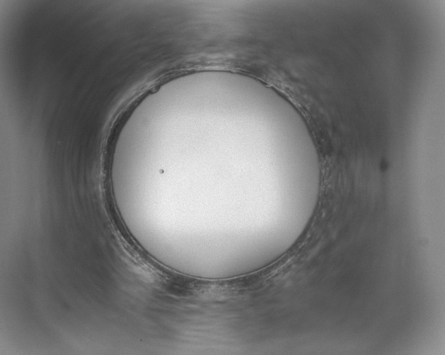 X0000073470293200608111543