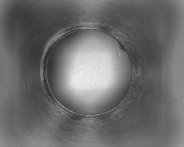 X0000073470294200608111543