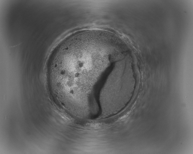 X0000073470295200608111543