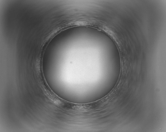 X0000073470297200608111543