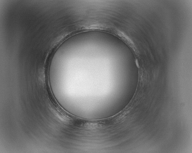 X0000073470298200608111543