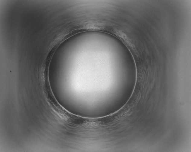 X0000073470299200608111543