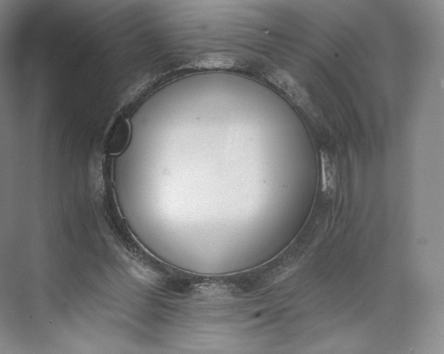 X0000073470300200608111543