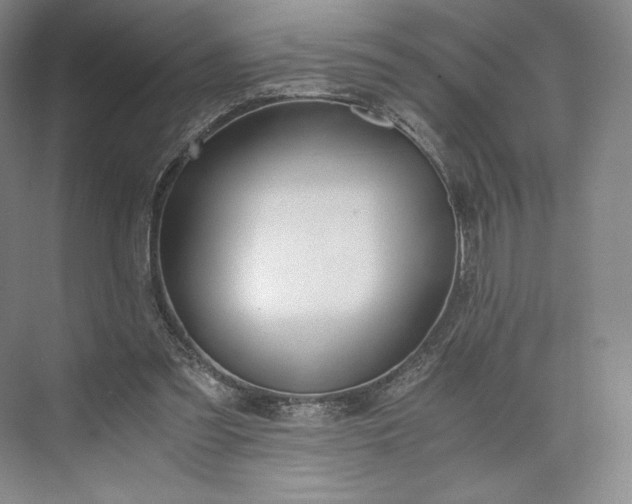 X0000073470301200608111543