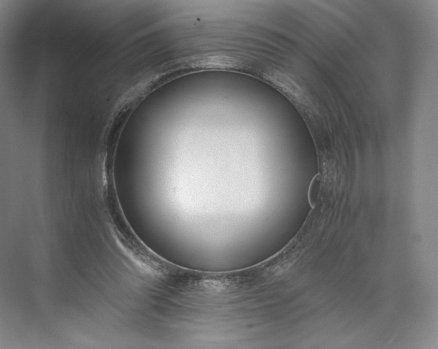 X0000073470302200608111543