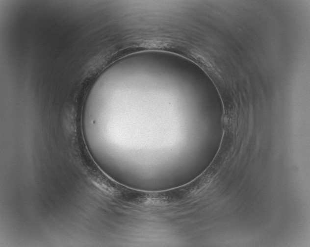 X0000073470303200608111543