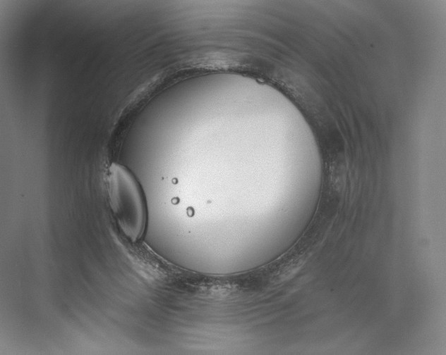 X0000073470304200608111543