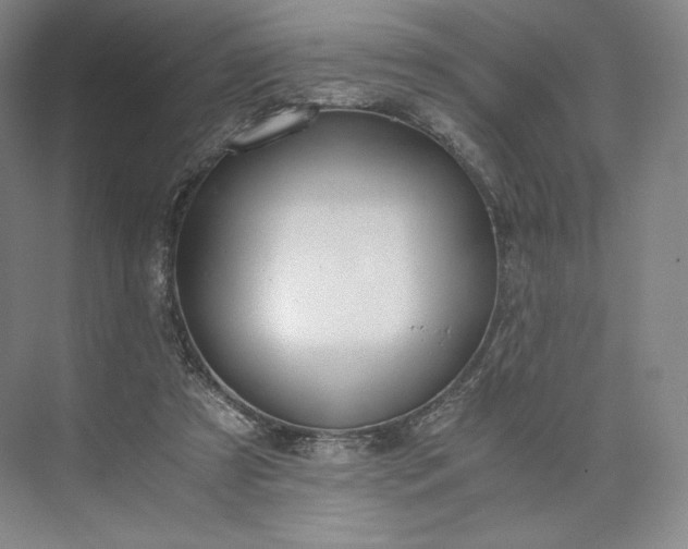 X0000073470305200608111543