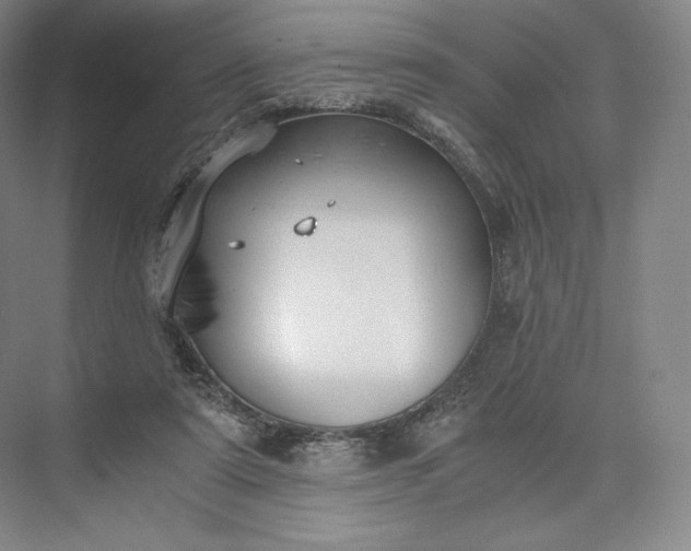 X0000073470307200608111543