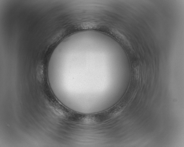 X0000073470308200608111543