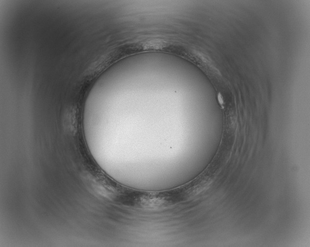 X0000073470311200608111543