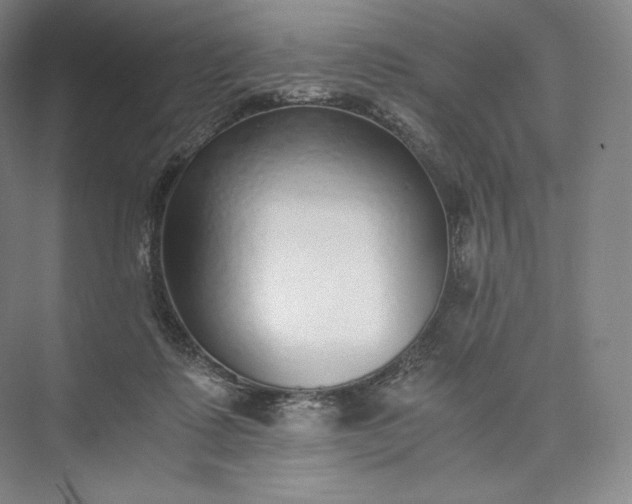 X0000073470315200608111543