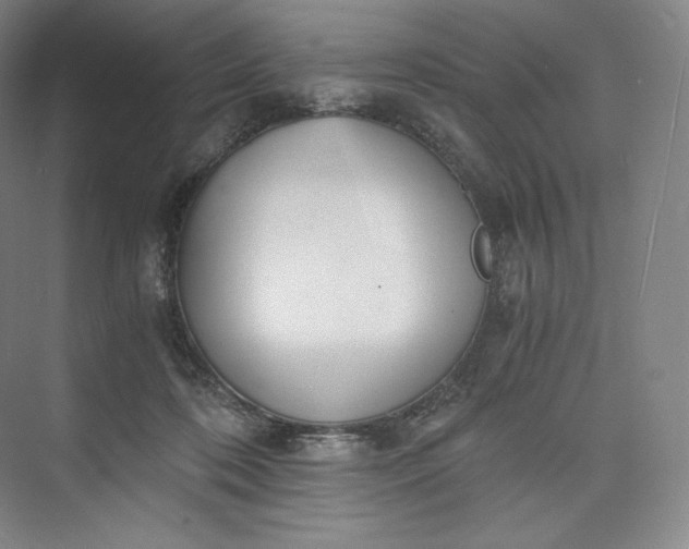 X0000073470316200608111543