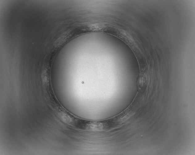 X0000073470317200608111543