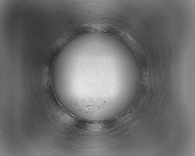 X0000073470318200608111543