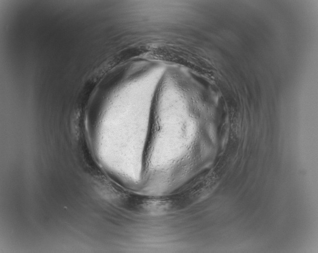 X0000073470319200608111543