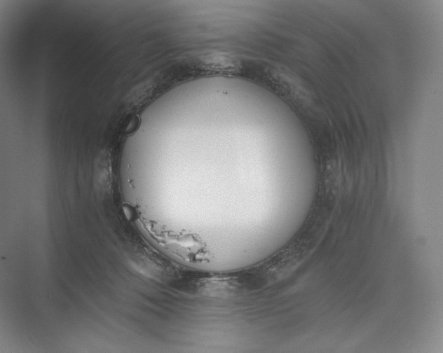 X0000073470320200608111543