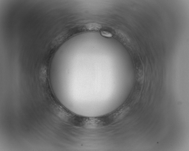 X0000073470321200608111543