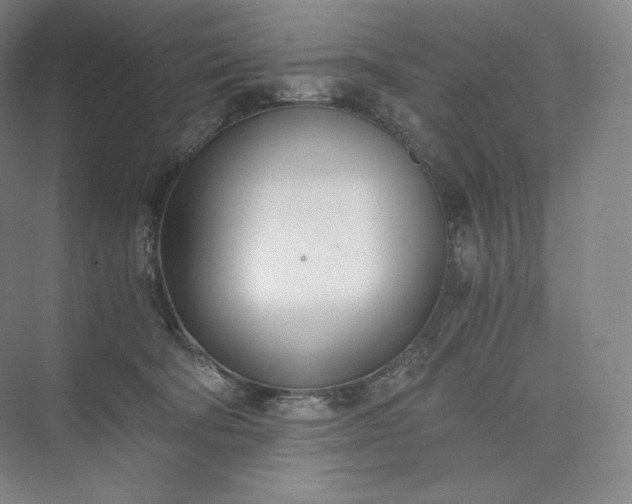 X0000073470322200608111543