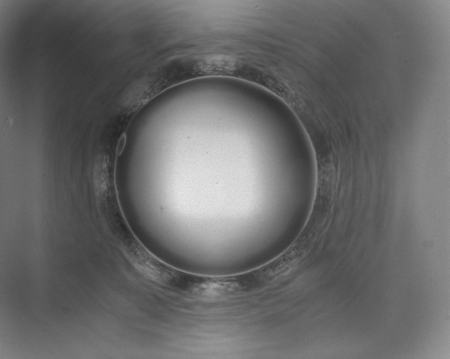 X0000073470323200608111543