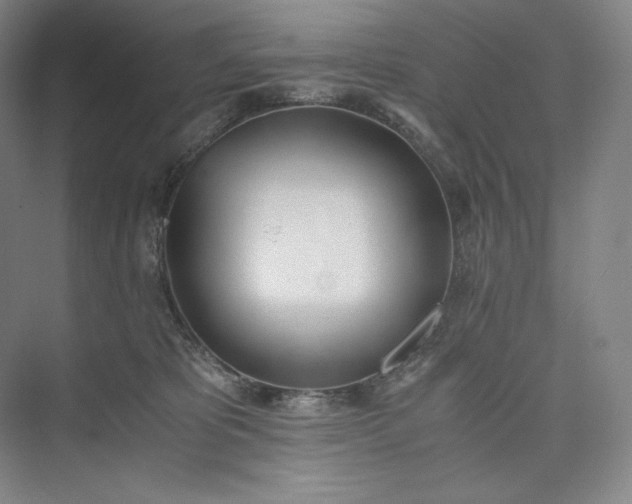 X0000073470325200608111543