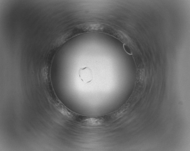 X0000073470326200608111542