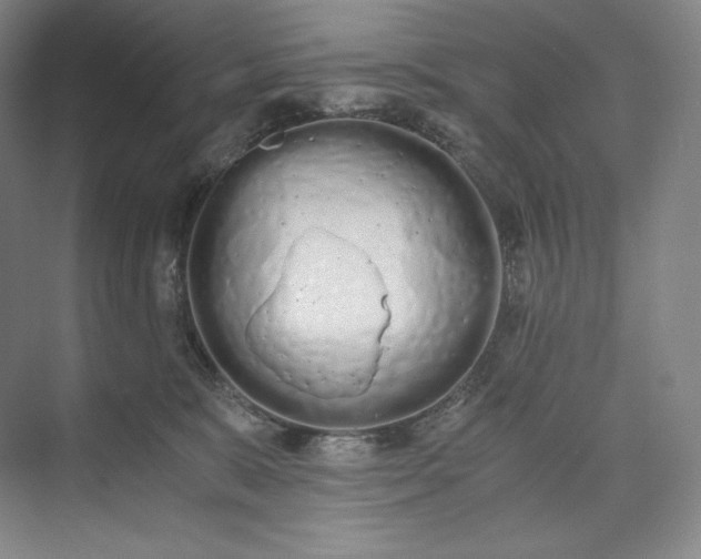 X0000073470327200608111542