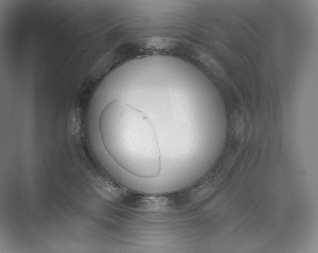 X0000073470328200608111542